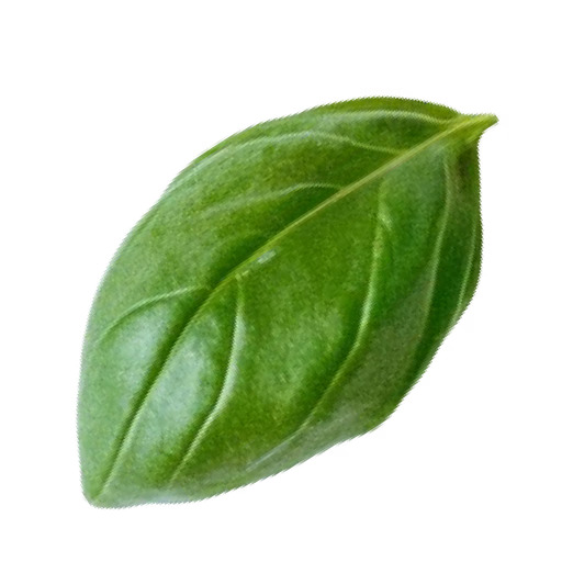 Green Leaf