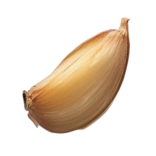 Onion